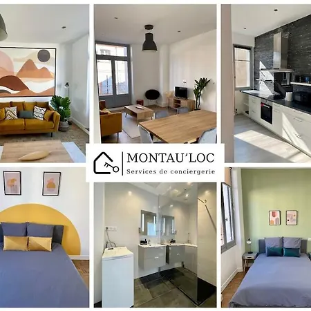 Joli T4 En Centre Historique * Montauban